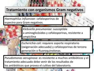 Tratamiento con organismos Gram negativos

Haemophilus influenzae: cefalosporinas de
espectro para Gram negativos.

              Klebsiella pneumoniae: susceptible
              a aminoglicósidos y cefalosporinas, resistente a
              ampicilina

            Escherichia coli: requiere soporte respiratorio
            (oxigenación adecuada) y cefalosporinas de tercera
            generación o fluoroquinolonas.

Pseudomonas aeruginosa: es resistente a muchos antibióticos y el
tratamiento adecuado debe venir de los resultados de
los antibióticos que provea el cultivo del laboratorio.
 