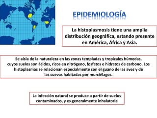 La histoplasmosis tiene una amplia
                                distribución geográfica, estando presente
                                        en América, África y Asia.


    Se aísla de la naturaleza en las zonas templadas y tropicales húmedas,
cuyos suelos son ácidos, ricos en nitrógeno, fosfatos e hidratos de carbono. Los
   histoplasmas se relacionan especialmente con el guano de las aves y de
                     las cuevas habitadas por murciélagos.



              La infección natural se produce a partir de suelos
                contaminados, y es generalmente inhalatoria
 