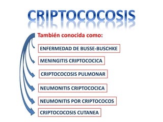 También conocida como:

ENFERMEDAD DE BUSSE-BUSCHKE

MENINGITIS CRIPTOCOCICA

 CRIPTOCOCOSIS PULMONAR

NEUMONITIS CRIPTOCOCICA

NEUMONITIS POR CRIPTOCOCOS

CRIPTOCOCOSIS CUTANEA
 