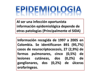 Al ser una infección oportunista
información epidemiológica depende de
otras patologías (Principalmente el SIDA)

Información recogida de 1997 a 2005 en
Colombia. Se identificaron 891 (95,7%)
casos de neurocriptococosis, 27 (2,9%) de
formas pulmonares, cinco (0,5%) de
lesiones cutáneas, dos (0,2%) de
ganglionares, dos (0,2%) de úlceras
orofaríngeas.
 