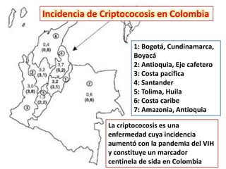 Incidencia de Criptococosis en Colombia


                      1: Bogotá, Cundinamarca,
                      Boyacá
                      2: Antioquia, Eje cafetero
                      3: Costa pacifica
                      4: Santander
                      5: Tolima, Huila
                      6: Costa caribe
                      7: Amazonia, Antioquia

               La criptococosis es una
               enfermedad cuya incidencia
               aumentó con la pandemia del VIH
               y constituye un marcador
               centinela de sida en Colombia
 