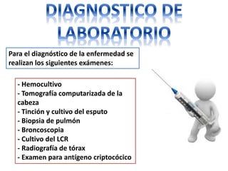 Para el diagnóstico de la enfermedad se
realizan los siguientes exámenes:

  - Hemocultivo
  - Tomografía computarizada de la
  cabeza
  - Tinción y cultivo del esputo
  - Biopsia de pulmón
  - Broncoscopia
  - Cultivo del LCR
  - Radiografía de tórax
  - Examen para antígeno criptocócico
 
