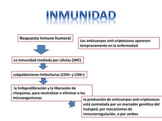 Respuesta inmune humoral
                                        Los anticuerpos anti-criptococos aparecen
                                        tempranamente en la enfermedad


La inmunidad mediada por células (IMC)


subpoblaciones linfocitarias (CD4+ y CD8+)


 la linfoproliferación y la liberación de
citoquinas, para neutralizar o eliminar a los
microorganismos                             la producción de anticuerpos anti-criptococos
                                          está controlada por un marcador genético del
                                          huésped, por mecanismos de
                                          inmunorregulación, o por ambos
 