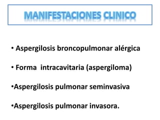 • Aspergilosis broncopulmonar alérgica

• Forma intracavitaria (aspergiloma)

•Aspergilosis pulmonar seminvasiva

•Aspergilosis pulmonar invasora.
 