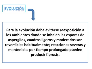 Para la evolución debe evitarse reexposición a
 los ambientes donde se inhalan las esporas de
  aspergilos, cuadros ligeros y moderados son
reversibles habitualmente; reacciones severas y
  mantenidas por tiempo prolongado pueden
                producir fibrosis.
 