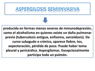 producida en formas menos severas de inmunodepresión,
como el alcoholismo en quienes existe un daño pulmonar
 previo (tuberculosis antigua, enfisema, sarcoidosis). De
      curso subagudo o crónico, aparece fiebre, tos,
    expectoración, pérdida de peso. Puede haber toma
  pleural y pericárdica. Aspergilomas. Excepcionalmente
                 participa todo un pulmón.
 