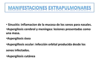 • Sinusitis: inflamacion de la mucosa de los senos para nasales.
•Aspergilosis cerebral y meníngea: lesiones presentadas como
una masa.
•Aspergilosis ósea
•Aspergillosis ocular: infección orbital producida desde los
senos infectados.
•Aspergilosis cutánea
 