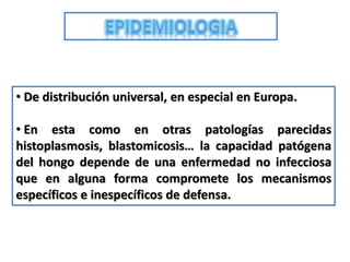 • De distribución universal, en especial en Europa.

• En esta como en otras patologías parecidas
histoplasmosis, blastomicosis… la capacidad patógena
del hongo depende de una enfermedad no infecciosa
que en alguna forma compromete los mecanismos
específicos e inespecíficos de defensa.
 
