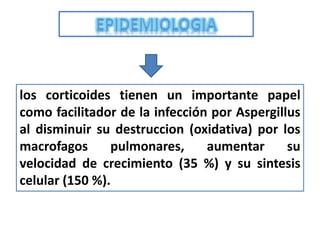 los corticoides tienen un importante papel
como facilitador de la infección por Aspergillus
al disminuir su destruccion (oxidativa) por los
macrofagos      pulmonares,     aumentar      su
velocidad de crecimiento (35 %) y su sintesis
celular (150 %).
 