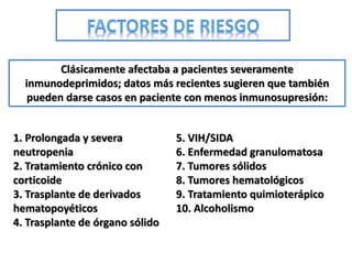 Clásicamente afectaba a pacientes severamente
  inmunodeprimidos; datos más recientes sugieren que también
   pueden darse casos en paciente con menos inmunosupresión:


1. Prolongada y severa           5. VIH/SIDA
neutropenia                      6. Enfermedad granulomatosa
2. Tratamiento crónico con       7. Tumores sólidos
corticoide                       8. Tumores hematológicos
3. Trasplante de derivados       9. Tratamiento quimioterápico
hematopoyéticos                  10. Alcoholismo
4. Trasplante de órgano sólido
 