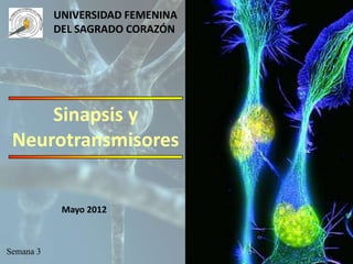 UNIVERSIDAD FEMENINA
           DEL SAGRADO CORAZÓN




     Sinapsis y
 Neurotransmisores


            Mayo 2012



Semana 3
 