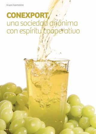 66 News
Grupos Exportadores
CONEXPORT,
una sociedad anónima
con espíritu cooperativo
66 News
 