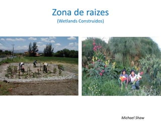 Zona de raizes
(Wetlands Construidos)
Michael Shaw
 
