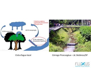 Córrego Pirarungáua – Jd. Botânico/SPCiclo d’agua local
 