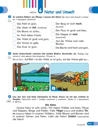 Lektion 6 Natur und Umwelt
111hundertelf
Zu welchen Bildern aus Übung 1 passen die Sätze? До яких ілюстрацій із впра-
ви 1 підходять речення?
Das Feld ist grün.
Das Meer ist tief. (глибоке)
Die Blume ist schön.
Im Teich leben Fische.
Der Wald ist groß und grün.
Die Wüste ist gelb.
Das Gras ist grün.
Der Berg ist nicht hoch.
(висока)
Der Fluss ist groß und blau.
Die Steppe ist weit.
(широкий)
Auf der Wiese sind viele
Blumen.
Die Bäume sind hoch und grün.
Suche Unterschiede zwischen den beiden Bildern. Beschreibe sie. Знайди від-
мінності між двома ілюстраціями. Опиши їх.
M u s t e r: Auf Bild 1 ist der Wald, er ist grün, auf der Wiese gibt es...
1 2
Lies den Text und finde Substantive im Plural. Nenne sie mit den Artikeln im
Singular. Прочитай текст і знайди іменники у множині. Назви їх з артиклями
в однині.
Die Natur
Unsere Natur ist sehr schön. Wir haben Wälder und Seen, Flüsse
und Steppen, Berge und Felder. Viele Vögel (птахи) und andere Tie-
re (тварини) leben in unseren Wäldern. Viele Bäume und Blumen sind
in unseren Gärten und Parks. Liebt die Natur! Schützt (захищайте)
die Natur!
 
