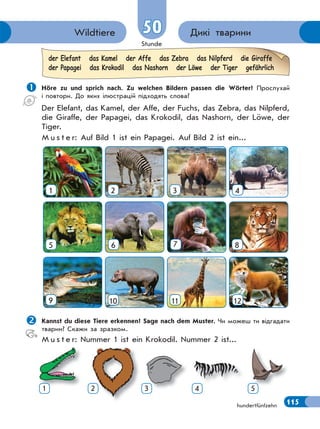 Stunde
115
50 Дикі твариниWildtiere
hundertfünfzehn
 Höre zu und sprich nach. Zu welchen Bildern passen die Wörter? Прослухай
і повтори. До яких ілюстрацій підходять слова?
Der Elefant, das Kamel, der Affe, der Fuchs, das Zebra, das Nilpferd,
die Giraffe, der Papagei, das Krokodil, das Nashorn, der Löwe, der
Tiger.
M u s t e r: Auf Bild 1 ist ein Papagei. Auf Bild 2 ist ein...
1 2 3 4
5 6 7 8
9 10 11 12
Kannst du diese Tiere erkennen? Sage nach dem Muster. Чи можеш ти відгадати
тварин? Скажи за зразком.
M u s t e r: Nummer 1 ist ein Krokodil. Nummer 2 ist...
der Elefant das Kamel der Affe das Zebra das Nilpferd die Giraffe
der Papagei das Krokodil das Nashorn der Löwe der Tiger gefährlich
Nu e s e
1 2 3 4 5
 