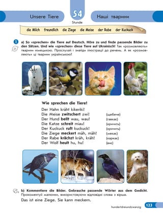 Stunde
123
54 Наші твариниUnsere Tiere
hundertdreiundzwanzig
 а) So «sprechen» die Tiere auf Deutsch. Höre zu und finde passende Bilder zu
den Sätzen. Und wie «sprechen» diese Tiere auf Ukrainisch? Так «розмовляють»
тварини німецькою. Прослухай і знайди ілюстрації до речень. А як «розмов-
ляють» ці тварини українською?
Wie sprechen die Tiere?
Der Hahn kräht kikeriki!
Die Meise zwitschert zwi! (щебече)
Der Hund bellt wau, wau! (гавкає)
Die Katze schreit miau! (кричить)
Der Kuckuck ruft kuckuck! (кричить)
Die Ziege meckert mäh, mäh! (мекає)
Der Rabe krächzt kräh, kräh! (каркає)
Der Wolf heult hu, hu! (виє)
b) Kommentiere die Bilder. Gebrauche passende Wörter aus dem Gedicht.
Прокоментуй малюнки, використовуючи відповідні слова з вірша.
Das ist eine Ziege. Sie kann meckern.
die Milch freundlich die Ziege die Meise der Rabe der Kuckuck
 