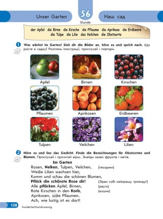 Stunde
128 hundertachtundzwanzig
Наш садUnser Garten 56
 Was wächst im Garten? Sieh dir die Bilder an, höre zu und sprich nach. Що
росте в садку? Розглянь ілюстрації, прослухай і повтори.
Äpfel Birnen Kirschen
Pflaumen Aprikosen Erdbeeren
Tulpen Veilchen Lilien
Höre zu und lies das Gedicht. Finde die Bezeichnungen für Obstsorten und
Blumen. Прослухай і прочитай вірш. Знайди назви фруктів і квітів.
Im Garten
Rosen, Nelken, Tulpen, Veilchen, (гвоздики)
Weiße Lilien wachsen hier,
Komm und schau die schönen Blumen,
Pflück die schönste Rose dir! (Зірви собі найкращу троянду!)
Alle pflücken Äpfel, Birnen, (рвуть)
Rote Kirschen in den Korb, (кошик)
Aprikosen, süße Pflaumen.
Ach, wie lustig ist es dort!
der Apfel die Birne die Kirsche die Pflaume die Aprikose die Erdbeere
die Tulpe die Lilie das Veilchen die Obstsorte
 