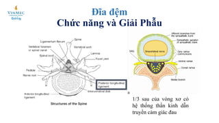 Discogel Tiêm Discogel điều trị thoát vị đĩa đệm | PDF