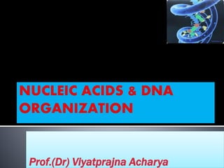 Prof.(Dr) Viyatprajna Acharya
 
