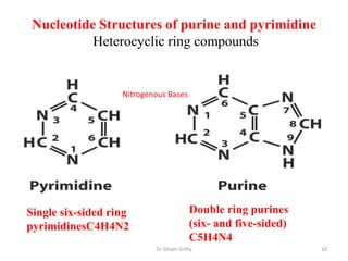 Nucleotide Structures of purine and pyrimidine
           Heterocyclic ring compounds


                   Nitrogenous Bases




Single six-sided ring                   Double ring purines
pyrimidinesC4H4N2                       (six- and five-sided)
                                        C5H4N4
                           Dr Siham Gritly                      10
 