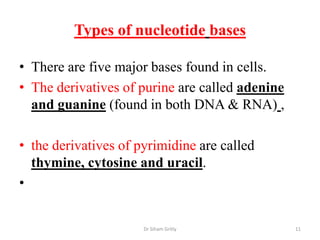 Types of nucleotide bases

• There are five major bases found in cells.
• The derivatives of purine are called adenine
  and guanine (found in both DNA & RNA) ,

• the derivatives of pyrimidine are called
  thymine, cytosine and uracil.
•


                      Dr Siham Gritly            11
 