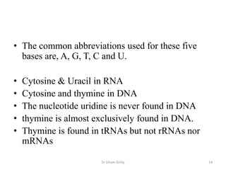 • The common abbreviations used for these five
  bases are, A, G, T, C and U.

•   Cytosine & Uracil in RNA
•   Cytosine and thymine in DNA
•   The nucleotide uridine is never found in DNA
•   thymine is almost exclusively found in DNA.
•   Thymine is found in tRNAs but not rRNAs nor
    mRNAs

                       Dr Siham Gritly             14
 