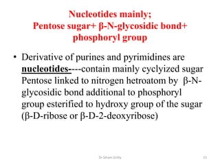Nucleotides mainly;
    Pentose sugar+ β-N-glycosidic bond+
             phosphoryl group

• Derivative of purines and pyrimidines are
  nucleotides----contain mainly cyclyized sugar
  Pentose linked to nitrogen hetroatom by β-N-
  glycosidic bond additional to phosphoryl
  group esterified to hydroxy group of the sugar
  (β-D-ribose or β-D-2-deoxyribose)



                     Dr Siham Gritly           15
 