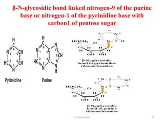 β-N-glycosidic bond linked nitrogen-9 of the purine
   base or nitrogen-1 of the pyrinidine base with
              carbon1 of pentose sugar




                      Dr Siham Gritly             22
 