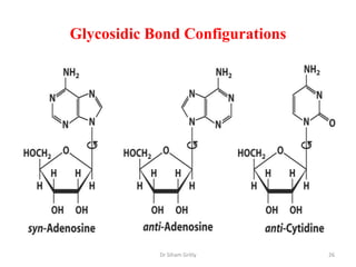 Glycosidic Bond Configurations




            Dr Siham Gritly      26
 