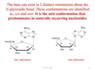 The base can exist in 2 distinct orientations about the
N-glycosidic bond. These conformations are identified
  as, syn and anti. It is the anti conformation that
 predominates in naturally occurring nucleotides




     Syn- adenosine                       anti-adenosine

                        Dr Siham Gritly                    27
 
