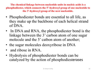 The chemical linkage between nucleotide units in nucleic acids is a
phosphodiester, which connects the 5’-hydroxyl group of one nucleotide to
              the 3’-hydroxyl group of the next nucleotide.

• Phosphodiester bonds are essential to all life, as
  they make up the backbone of each helical strand
  of DNA.
• In DNA and RNA, the phosphodiester bond is the
  linkage between the 3’ carbon atom of one sugar
  molecule and the 5’ catbon atom of another;
• the sugar molecules deoxyribose in DNA
• and ribose in RNA.
• Hydrolysis of phosphodiester bonds can be
  catalyzed by the action of phosphodiesterases

                                Dr Siham Gritly                        32
 