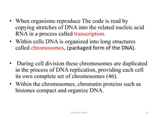 • When organisms reproduce The code is read by
  copying stretches of DNA into the related nucleic acid
  RNA in a process called transcription.
• Within cells DNA is organized into long structures
  called chromosomes, (packaged form of the DNA).

• During cell division these chromosomes are duplicated
  in the process of DNA replication, providing each cell
  its own complete set of chromosomes (46).
• Within the chromosomes, chromatin proteins such as
  histones compact and organize DNA.


                         Dr Siham Gritly                   37
 