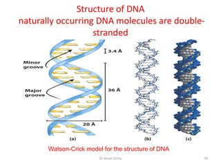 Structure of DNA
naturally occurring DNA molecules are double-
                   stranded




       Watson-Crick model for the structure of DNA
                         Dr Siham Gritly             39
 