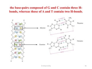 the base-pairs composed of G and C contain three H-
bonds, whereas those of A and T contain two H-bonds.




                      Dr Siham Gritly                  45
 