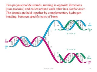 Two polynucleotide strands, running in opposite directions
(anti-parallel) and coiled around each other in a double helix.
The strands are held together by complementary hydrogen-
bonding between specific pairs of bases




                             Dr Siham Gritly                      49
 
