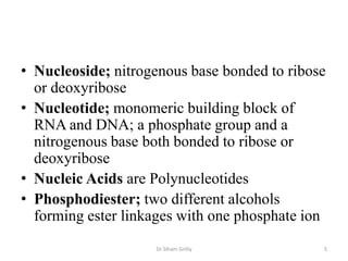 • Nucleoside; nitrogenous base bonded to ribose
  or deoxyribose
• Nucleotide; monomeric building block of
  RNA and DNA; a phosphate group and a
  nitrogenous base both bonded to ribose or
  deoxyribose
• Nucleic Acids are Polynucleotides
• Phosphodiester; two different alcohols
  forming ester linkages with one phosphate ion
                    Dr Siham Gritly           5
 