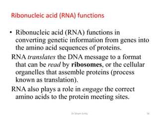 Ribonucleic acid (RNA) functions

• Ribonucleic acid (RNA) functions in
  converting genetic information from genes into
  the amino acid sequences of proteins.
 RNA translates the DNA message to a format
  that can be read by ribosomes, or the cellular
  organelles that assemble proteins (process
  known as translation).
 RNA also plays a role in engage the correct
  amino acids to the protein meeting sites.

                     Dr Siham Gritly           56
 