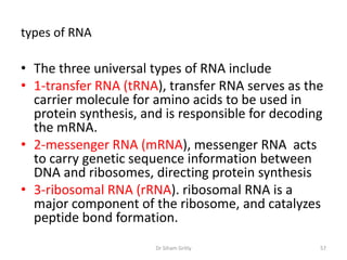 types of RNA

• The three universal types of RNA include
• 1-transfer RNA (tRNA), transfer RNA serves as the
  carrier molecule for amino acids to be used in
  protein synthesis, and is responsible for decoding
  the mRNA.
• 2-messenger RNA (mRNA), messenger RNA acts
  to carry genetic sequence information between
  DNA and ribosomes, directing protein synthesis
• 3-ribosomal RNA (rRNA). ribosomal RNA is a
  major component of the ribosome, and catalyzes
  peptide bond formation.
                       Dr Siham Gritly             57
 