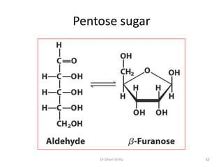 Pentose sugar




    Dr Siham Gritly   62
 