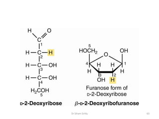 Dr Siham Gritly   63
 
