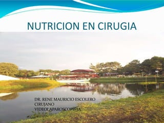 NUTRICION EN CIRUGIA
DR. RENE MAURICIO ESCOLERO
CIRUJANO
VIDEOLAPAROSCOPISTA.
 