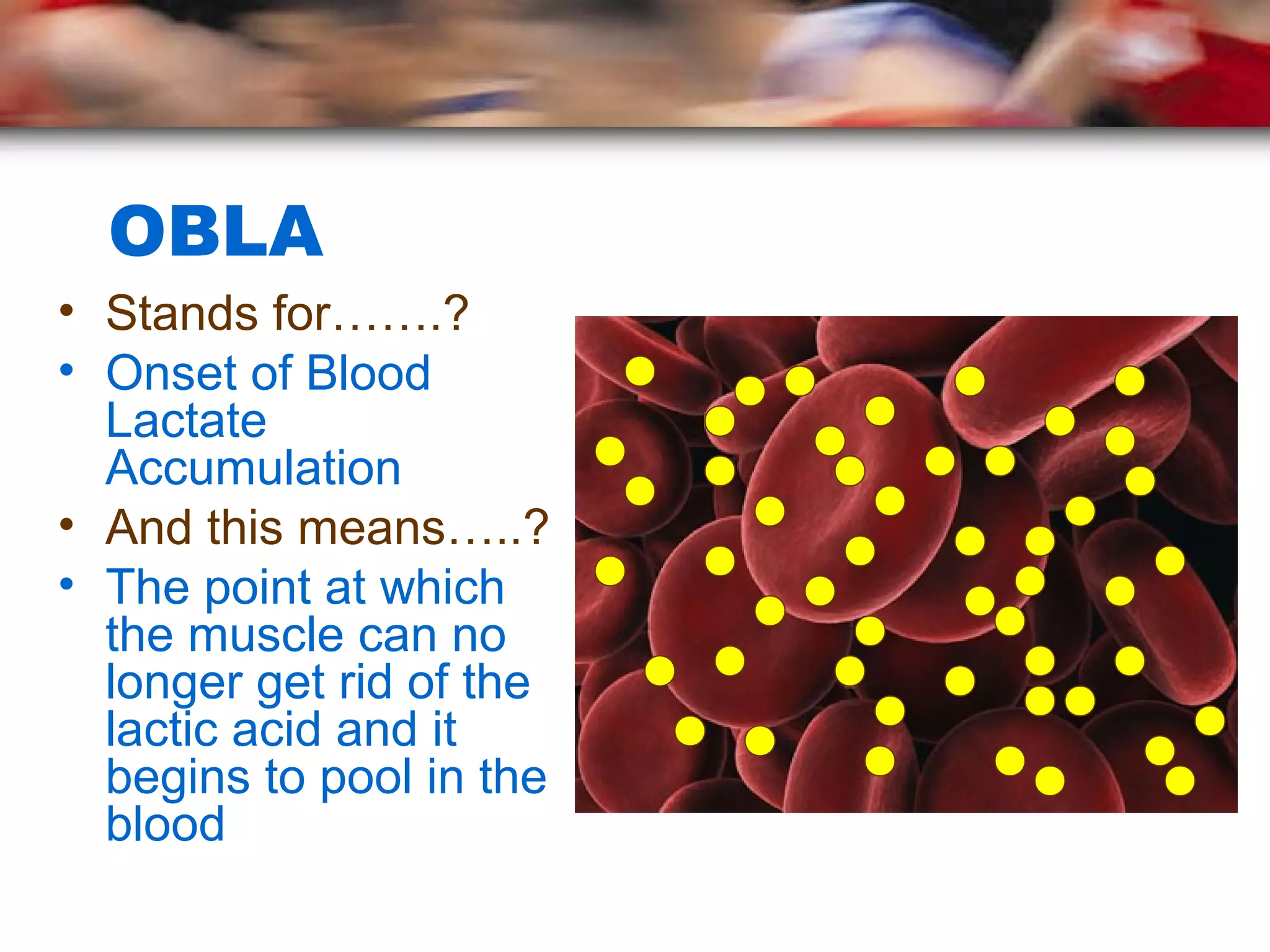 OBLA
• Stands for…….?
• Onset of Blood
Lactate
Accumulation
• And this means…..?
• The point at which
the muscle can no
longer get rid of the
lactic acid and it
begins to pool in the
blood
 