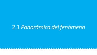 2.1 Panorámica del fenómeno
 