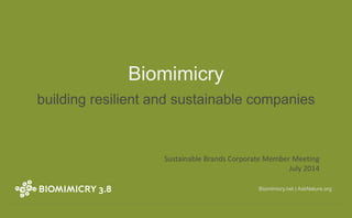Biomimicry.net | AskNature.org
Biomimicry
building resilient and sustainable companies
Sustainable Brands Corporate Member Meeting
July 2014
 