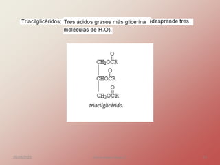 26/08/2023 Gloria Maria Mejia Z. 10
 