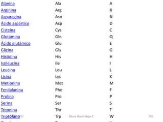 26/08/2023 Gloria Maria Mejia Z. 103
Alanina Ala A
Arginina Arg R
Asparagina Asn N
Ácido aspártico Asp D
Cisteína Cys C
Glutamina Gln Q
Ácido glutámico Glu E
Glicina Gly G
Histidina His H
Isoleucina Ile I
Leucina Leu L
Lisina Lys K
Metionina Met M
Fenilalanina Phe F
Prolina Pro P
Serina Ser S
Treonina Thr T
Triptófano Trp W
 