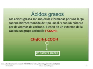 26/08/2023 Gloria Maria Mejia Z. 24
www.authorstream.com/.../Vampirin-189730-biomol-culas-pidos-biology-biomolecules-lipidos-
 