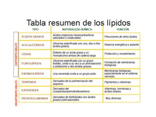 26/08/2023 Gloria Maria Mejia Z. 29
 