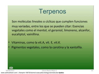 26/08/2023 Gloria Maria Mejia Z. 45
www.authorstream.com/.../Vampirin-189730-biomol-culas-pidos-biology-biomolecules-lipidos-
 